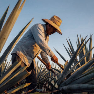 100 blue agave Whiteout Blanco 100% Blue Agave